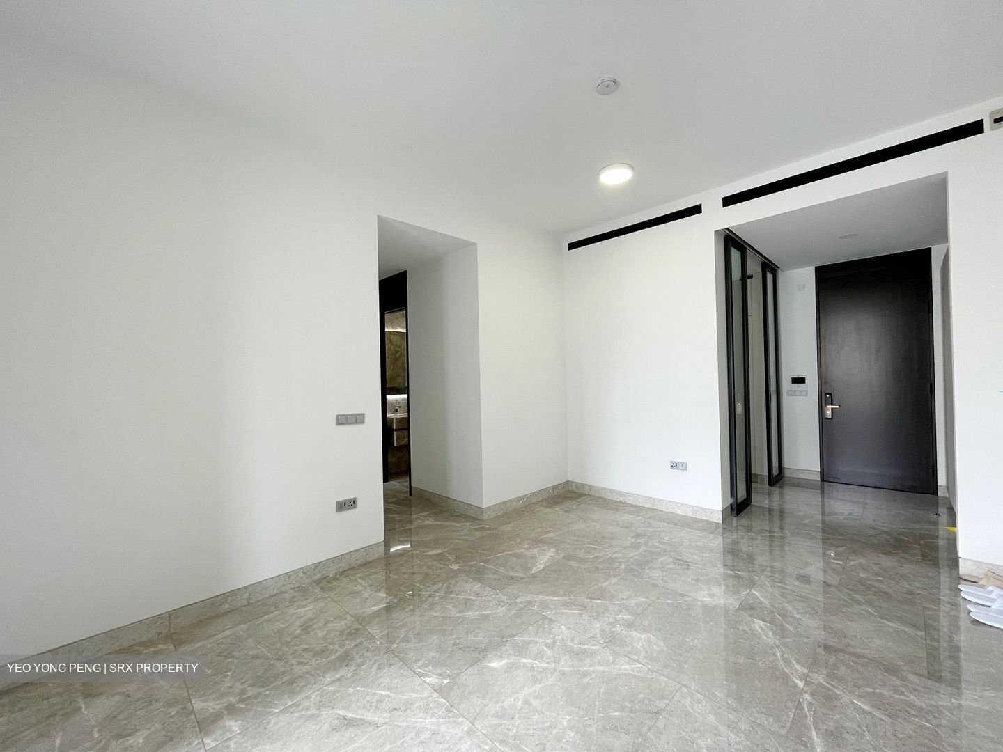 Martin Modern (D9), Condominium #342974611